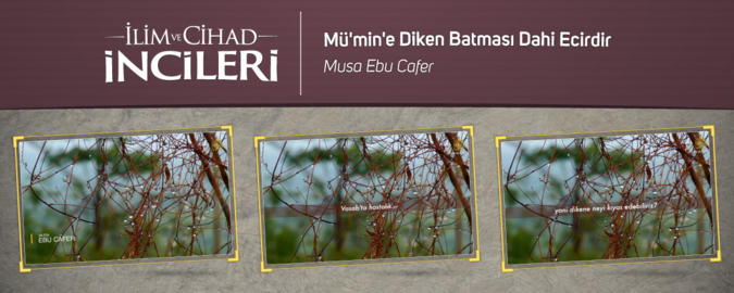 Mü'min'e Diken Batması Dahi Ecirdir