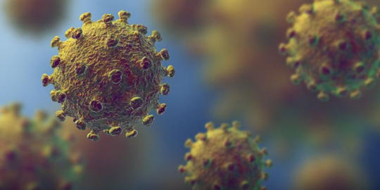 Koronavirüs'ten Ölenler Şehid midir?